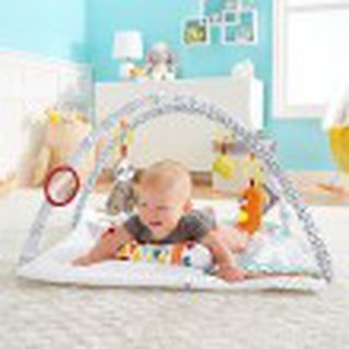 【寶大人玩具出租】Fisher price 費雪 感官訓練可愛 動物 健身器