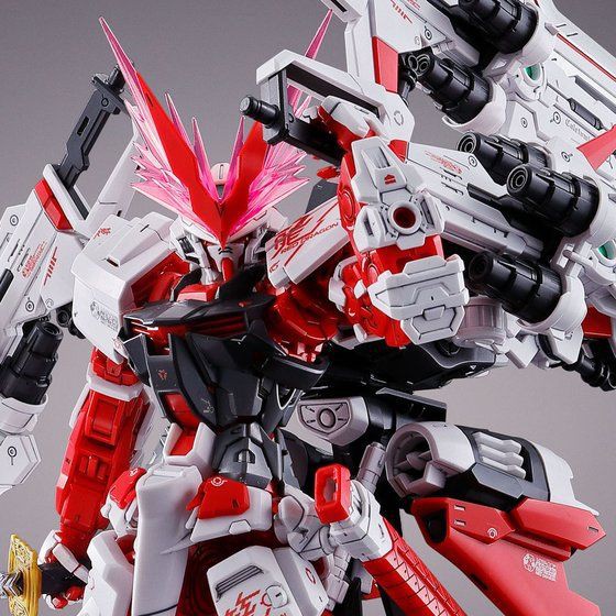 萬代 BANDAI PB限定 MG 1/100 紅龍型 異端鋼彈