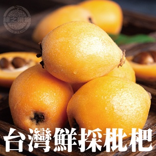 【綠之果物】枇杷 台灣枇杷 枇杷禮盒 水果 水果禮盒