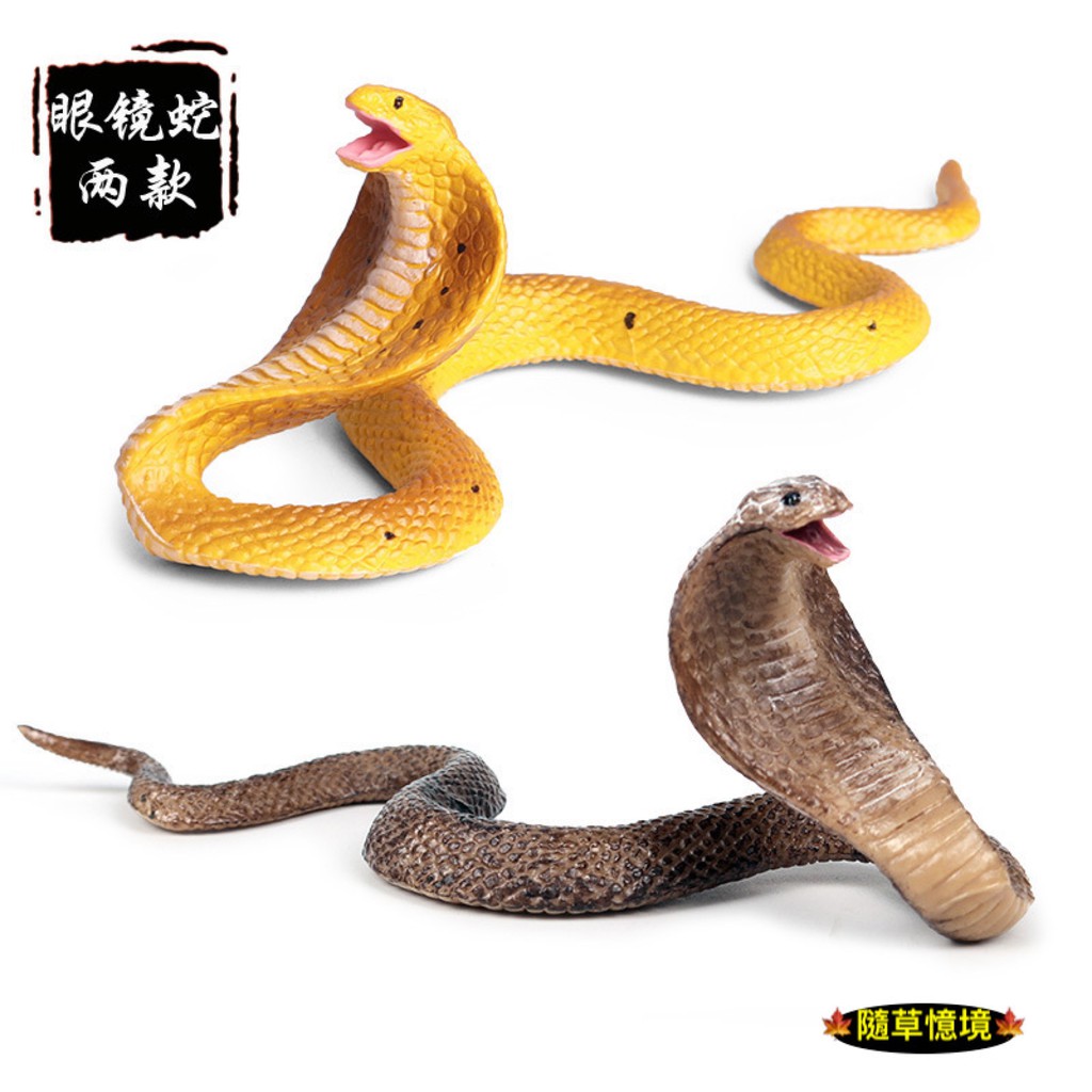 現貨2款 仿真白化眼鏡蛇蛇王毒蛇蛇冷血兩棲動物動物模型野生動物兒童玩具益智spg 蝦皮購物