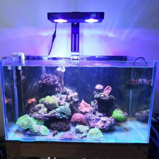魚樂城水族精品 手機app控制 10通道設計 魔神軟體燈旗艦級led海水燈具 日出日落控制 美國cree顆粒 蝦皮購物