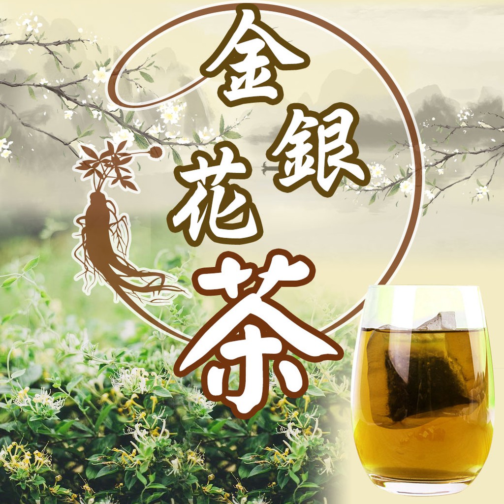 金銀花茶金銀花甘草桑葉菊花茶包養生茶12入沖泡茶包 蝦皮購物