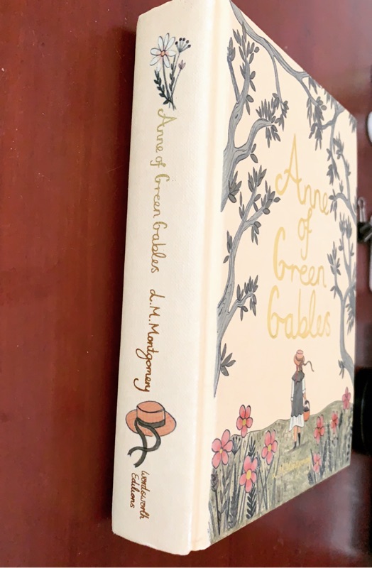 Anne Of Green Gables 清秀佳人紅髮安妮精裝原文英文小說novel 暢銷小說 蝦皮購物