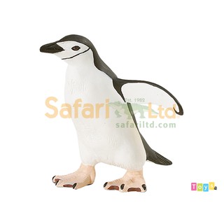 [美國Safari] 220429 頰帶企鵝模型