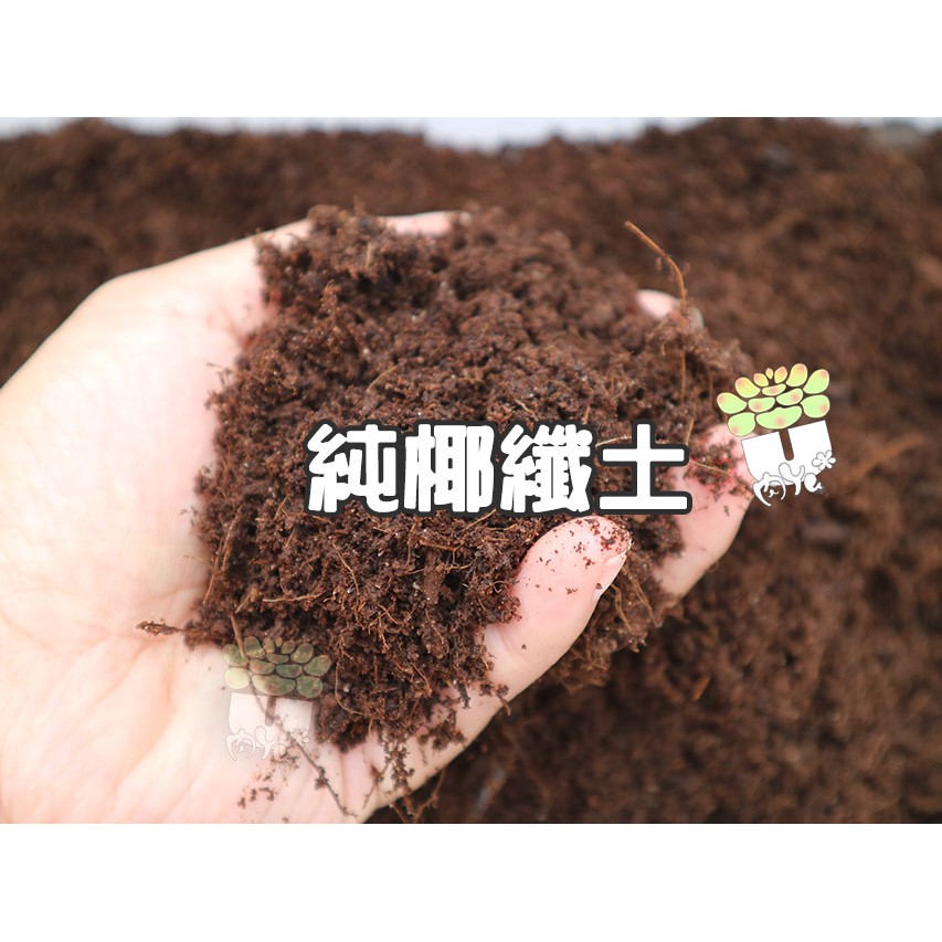 肉Yu＊純椰纖土(椰土)天然椰土-1公升裝/多肉介質/各種園藝植物適用