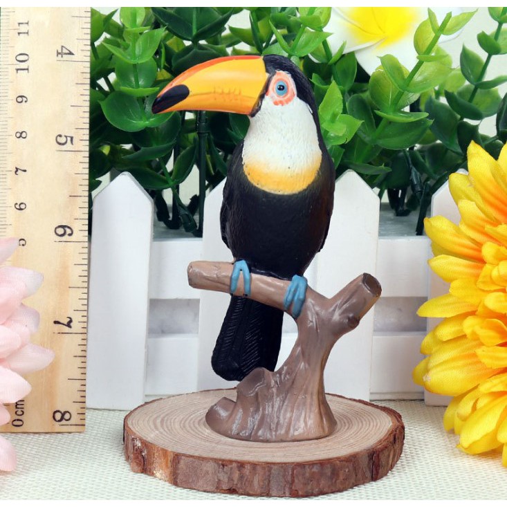 Lele模型 大嘴鳥toucan 鳥類玩偶玩具仿真動物模型公仔裝飾品擺飾野生動物送禮禮物 蝦皮購物