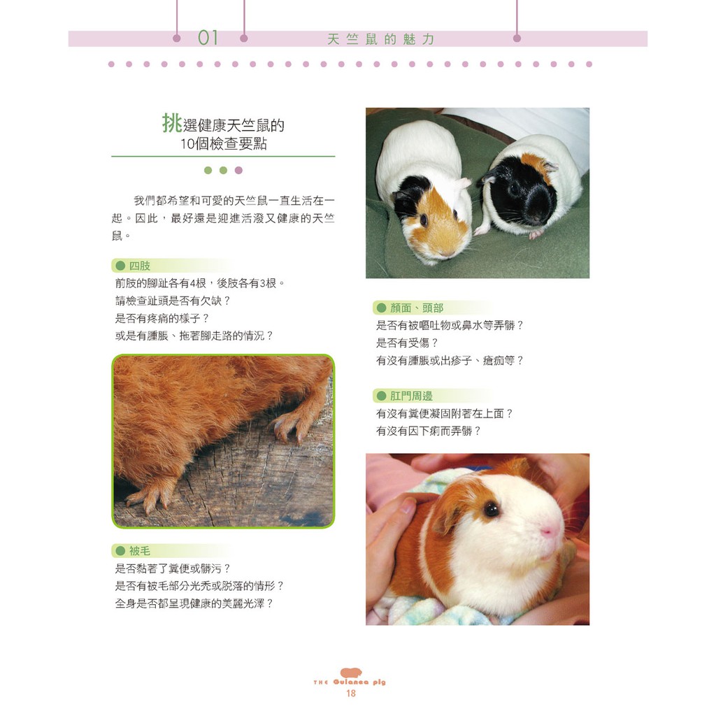 漢欣 新手高明飼養法 天竺鼠 暢銷版 蝦皮購物