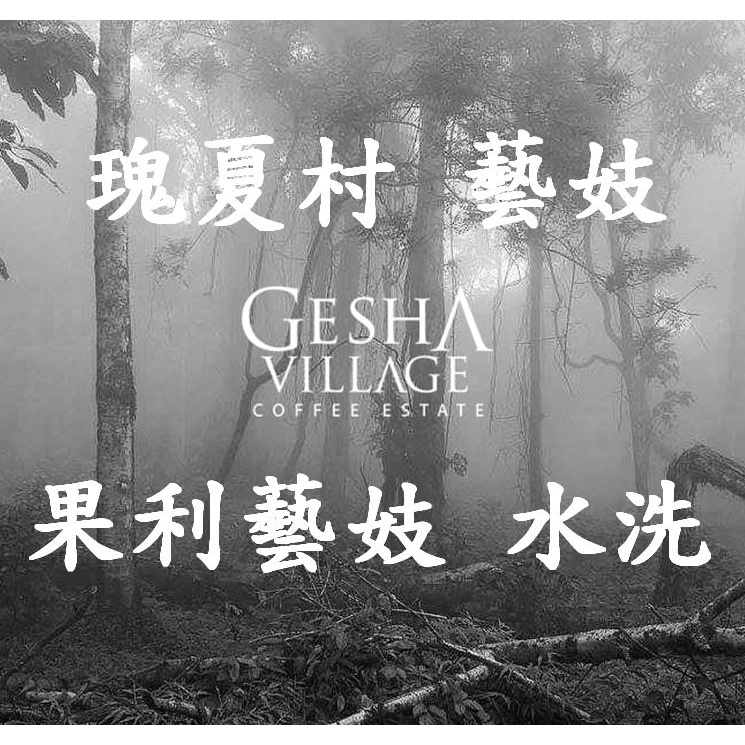 (最後數量) 獵豆工坊🐆 綠標 瑰夏村莊園 果利瑰夏Bangi 地塊 水洗 029 咖啡生豆 500G