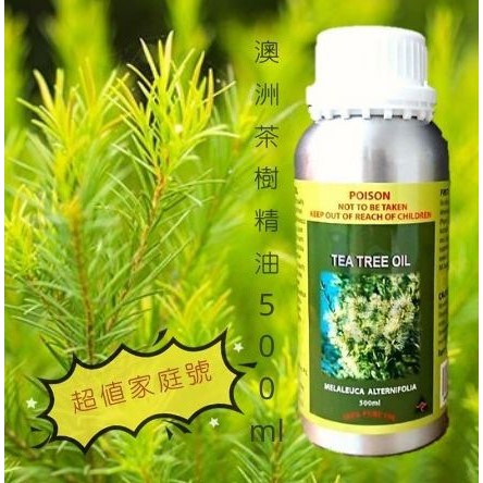 《鋼瓶 家庭號》🇦🇺澳洲100%茶樹精油500ml  可分裝多瓶