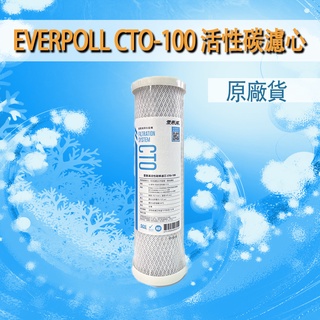 Everpure 愛惠浦CTO-100 cto100 活性碳 濾芯 濾心 ro機 淨水器