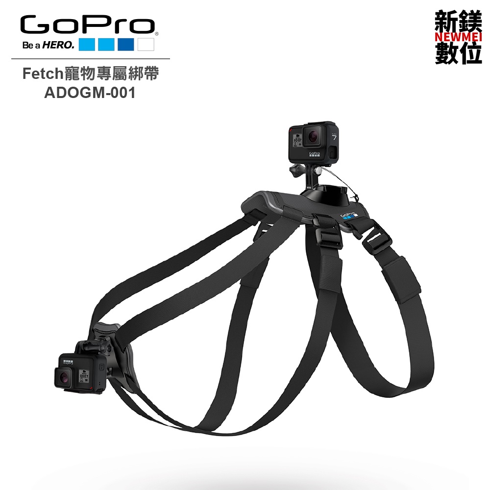 GoPro Fetch 寵物綁帶 ADOGM-001 全新 台灣公司貨