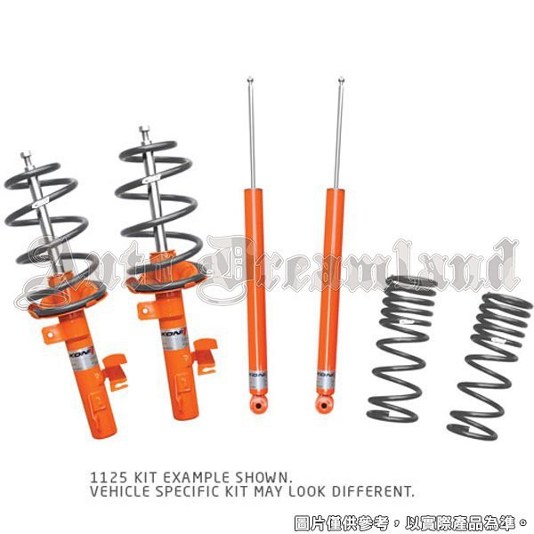 德國 Koni 1125 套裝 避震器 道路 Eibach 短彈簧 BMW 寶馬 三系列 E46 E90 F30 F31