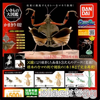 【黑蛋】現貨 BANDAI 螳螂造型轉蛋 P2 環保扭蛋 昆蟲 可動 關節 轉蛋 扭蛋 公仔
