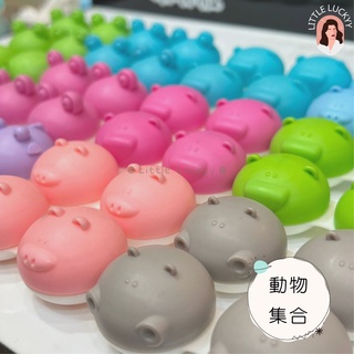 隱形眼鏡盒、動物造型隱形眼鏡盒、隱形眼鏡水盒、隱形眼鏡外出盒、旅行盒、隱形眼鏡配件