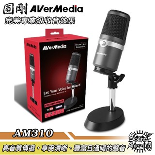 圓剛 AM310 高音質USB麥克風 電競直播、錄音、唱歌、Podcast專用【Sound Amazing】