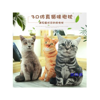 ☆當日出貨☆ 50cm模擬貓咪抱枕 貓咪抱枕 貓咪娃娃 貓咪玩偶 靠枕 午睡枕 生日禮物 交換禮物 喵星人 抱枕 D04