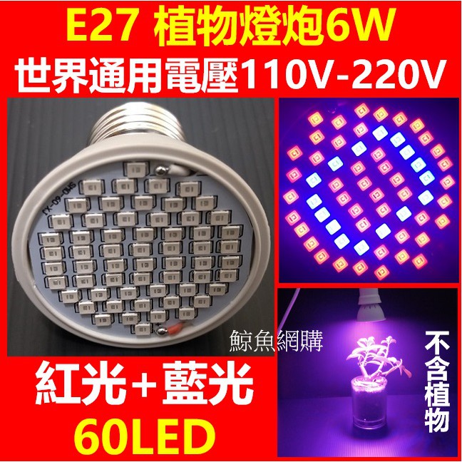 (現貨)60LED植物燈泡 6W E27 植物生長燈 投射燈 補光燈 室內植物培育 觀賞植物