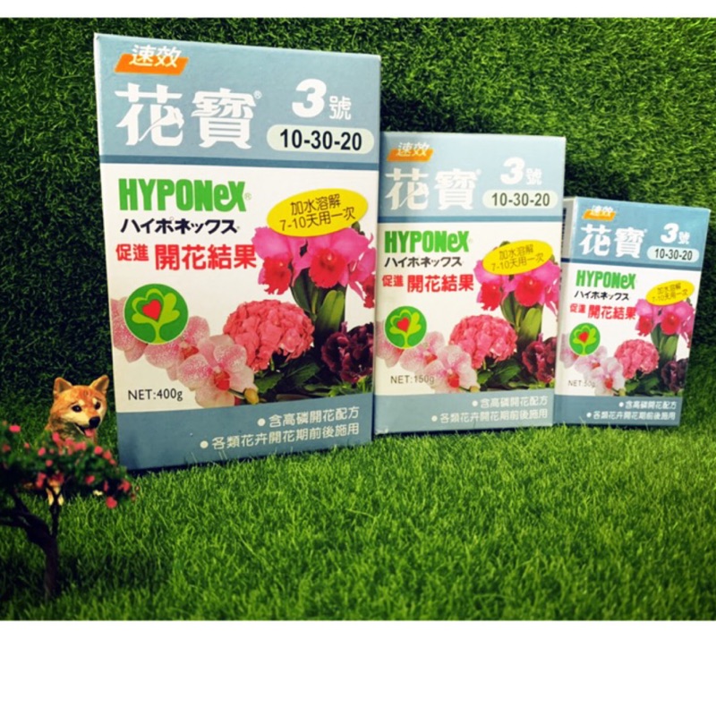 🌿綠旺園藝🌱花寶3號 促進開花結果 速效水溶性肥料 50g 150g 400g