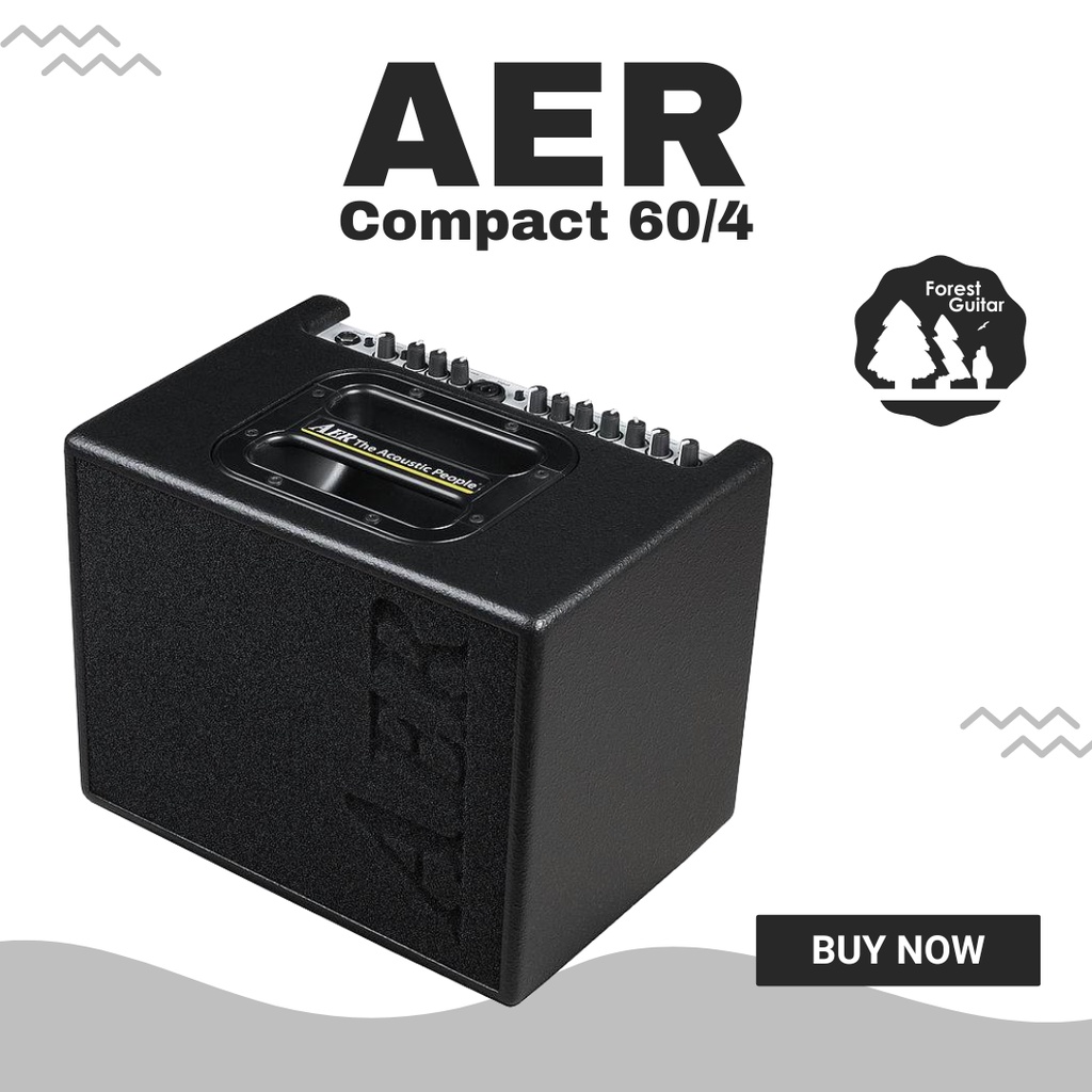 【森韻木吉他工作室】AER Compact 60/4 60瓦經典音箱 木吉他音箱