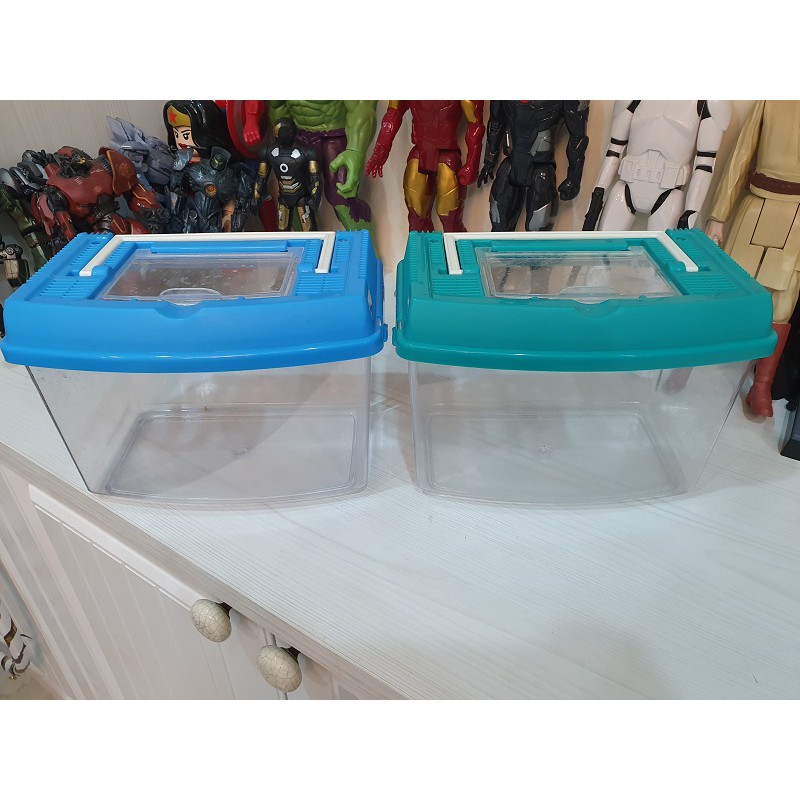 二手 手提式寵物養殖箱 金魚盒 昆蟲盒 觀察盒 爬蟲 水族 昆蟲 寵物 飼養盒 兩色可選 綠色 藍色