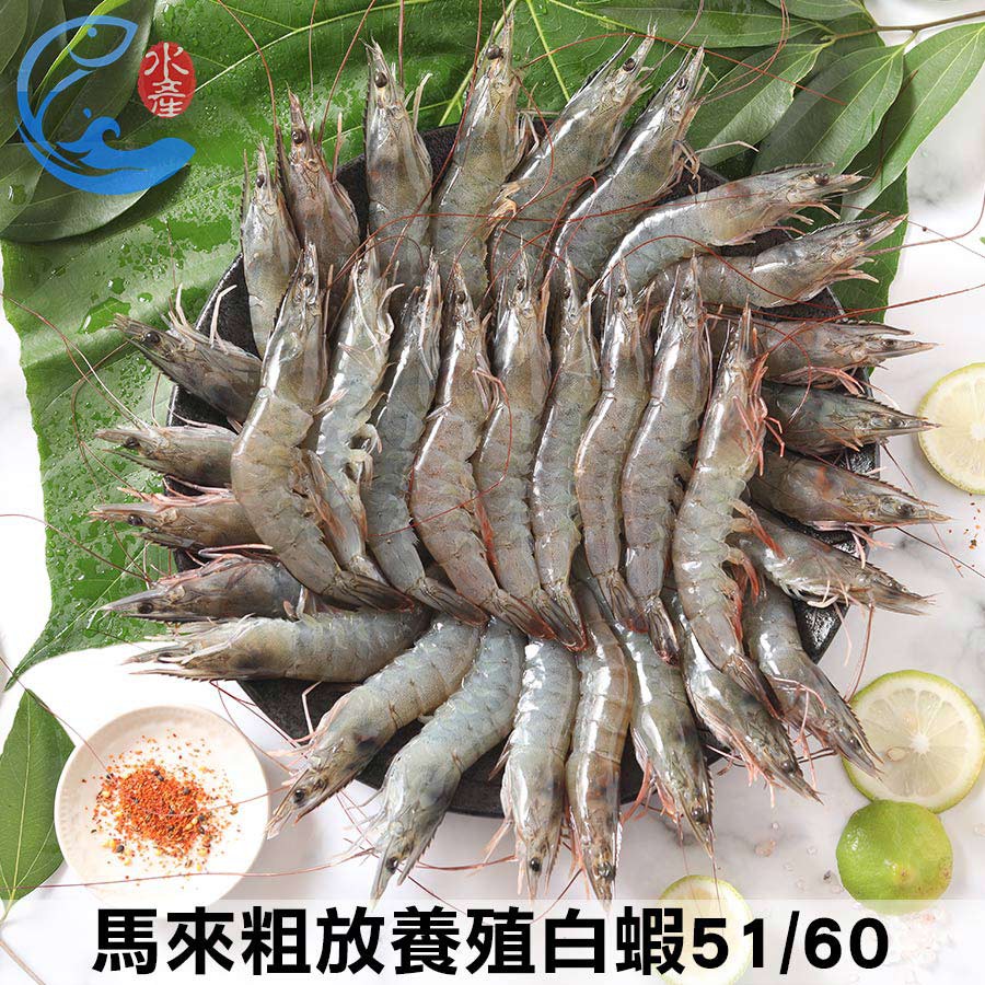 【佐佐鮮】馬來粗放養殖白蝦51/60_600g±10%/盒(約30-35尾)