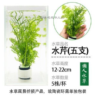 魚缸懶人水草植物活體淡水有莖草缸造景水族箱中后景水草套餐包郵 蝦皮購物