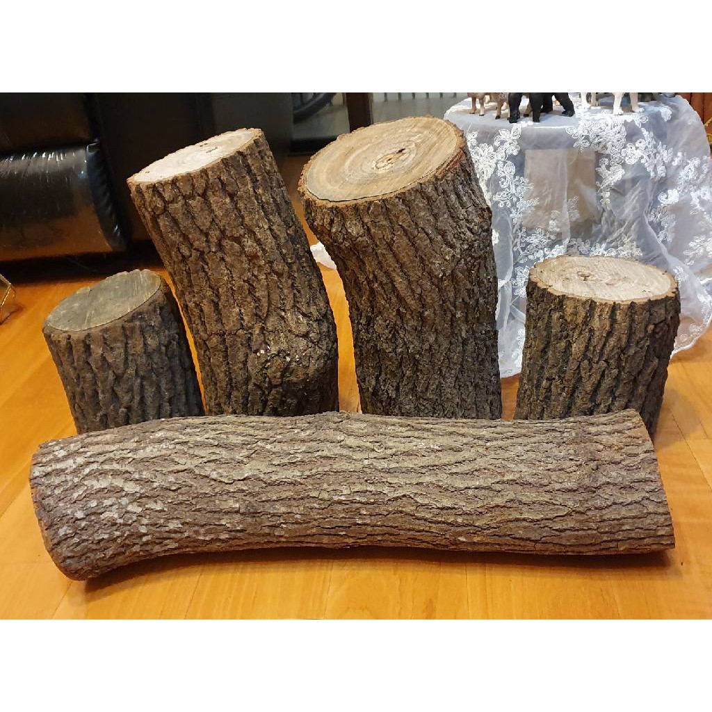樟木木樁圓木柱木柱原木森林系婚禮佈置道具裝飾 蝦皮購物