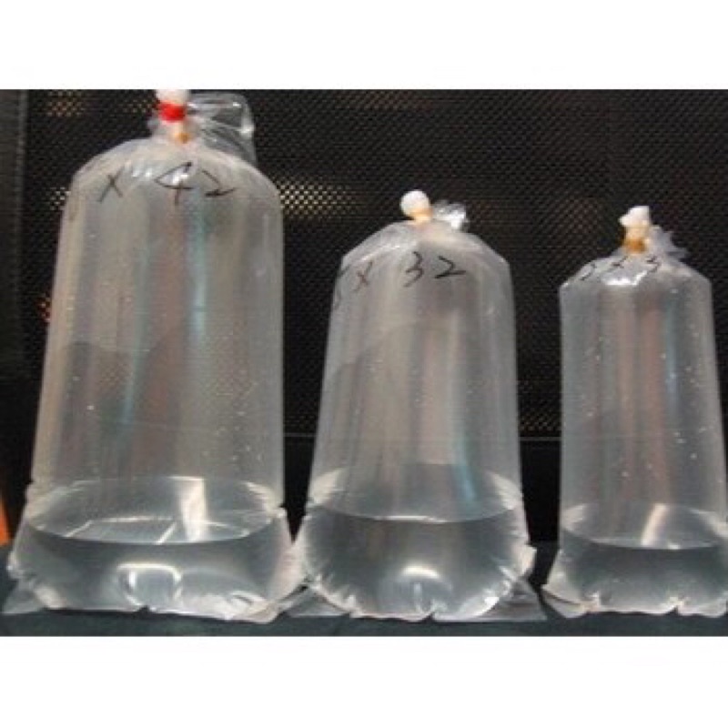 阿毅水族(高雄)---35*68圓弧底活體包裝塑膠袋