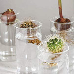 日本代購 Spice Of Life 水栽培用玻璃花瓶花器家飾插花 蝦皮購物