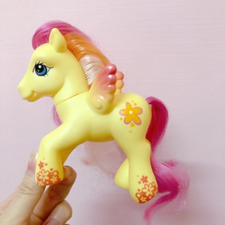 D 2005年 絕版 彩虹小馬 黃色 花朵🌺 飛馬 my little pony Hasbro