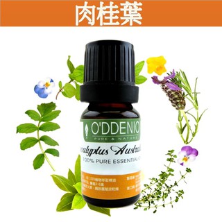 《歐丹尼》【肉桂葉純精油10ml-50ml】Cinnamon Leaf優質單方純精油系列