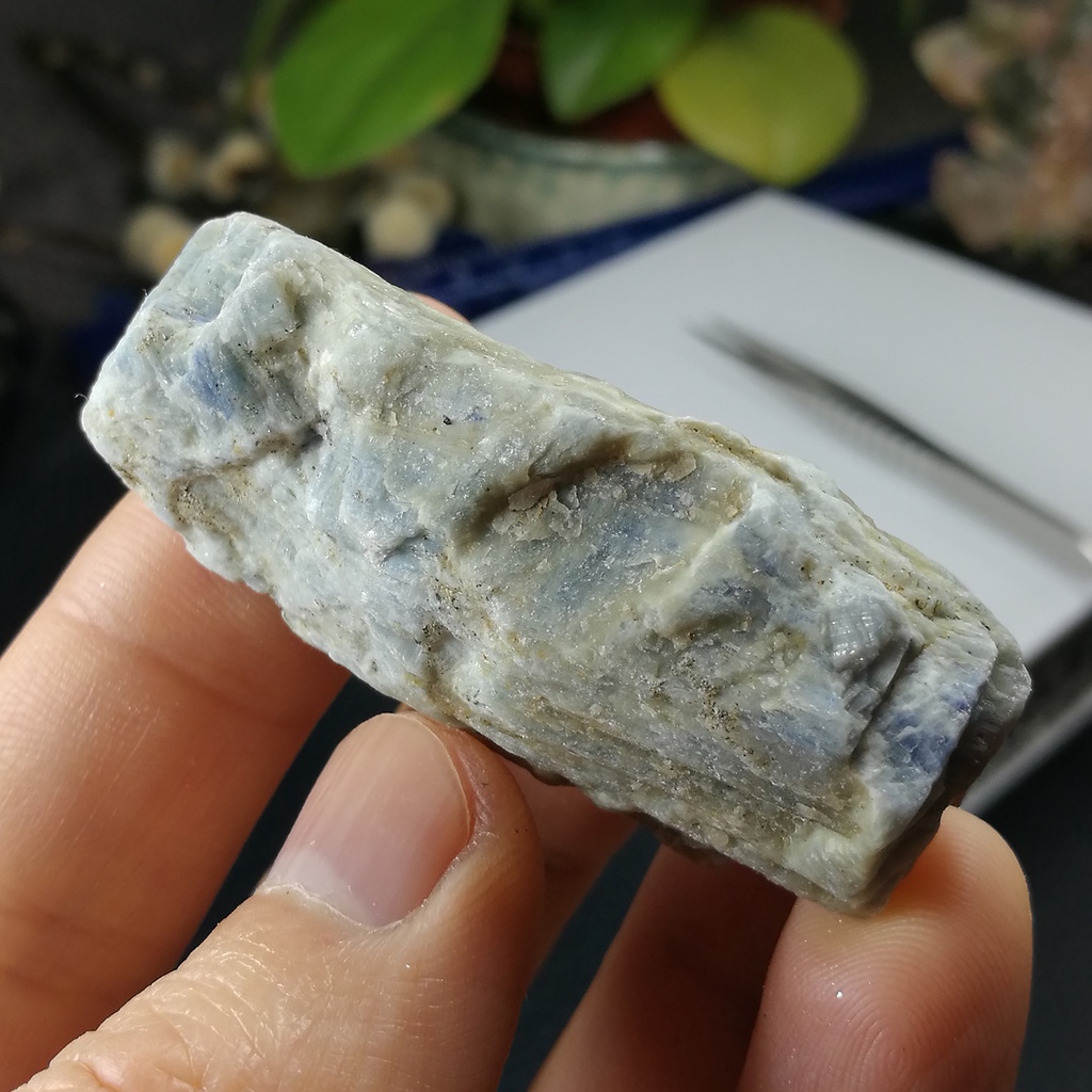 [友克鑫礦業]da47約重38.9g-藍晶石原礦 Kyanite 無加工天然晶礦