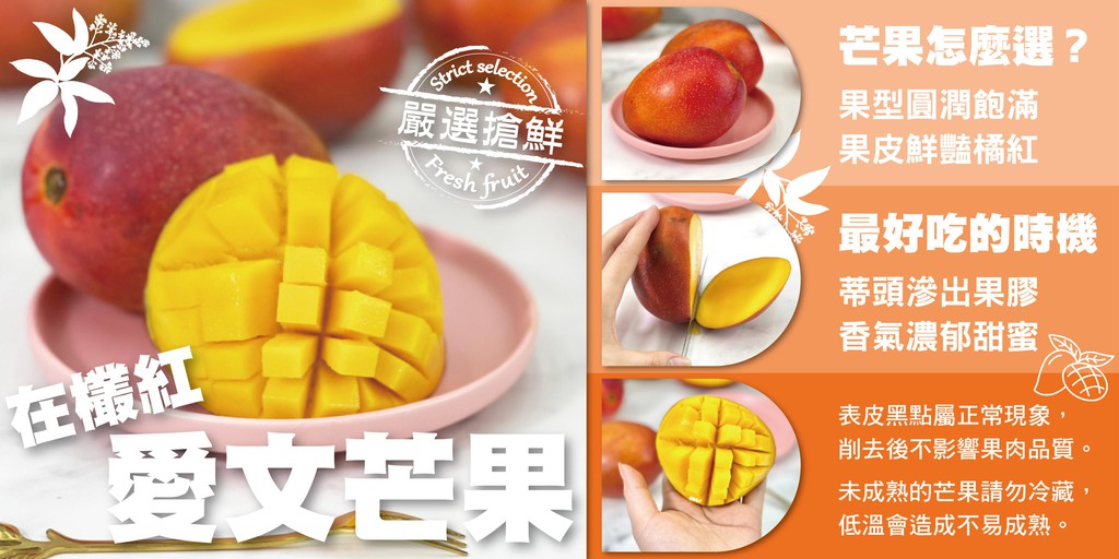 綠之果物 水果專賣 日本御選果物 進口水果 線上商店 蝦皮購物