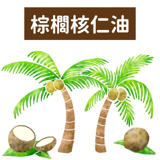 【馥靖精油】棕櫚核仁油 Palm Kernel Oil 1L