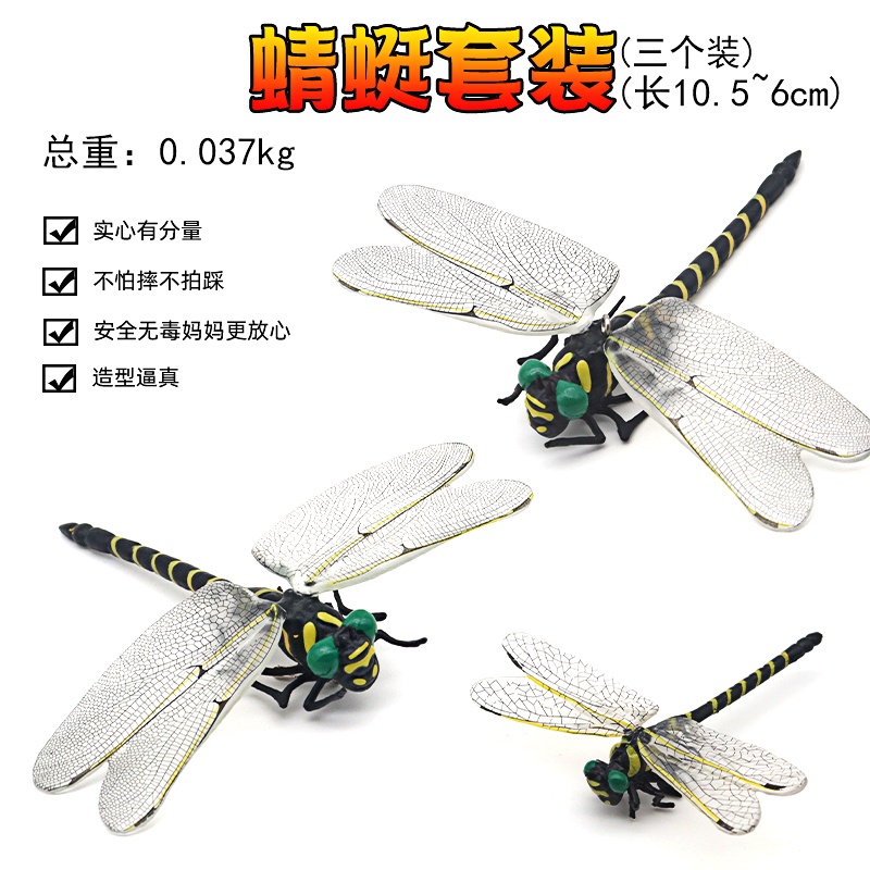 萬物園✨仿真大號蜻蜓模型玩具昆蟲標本蜜蜂甲塑蟲膠蝴蝶兒童認知科教育