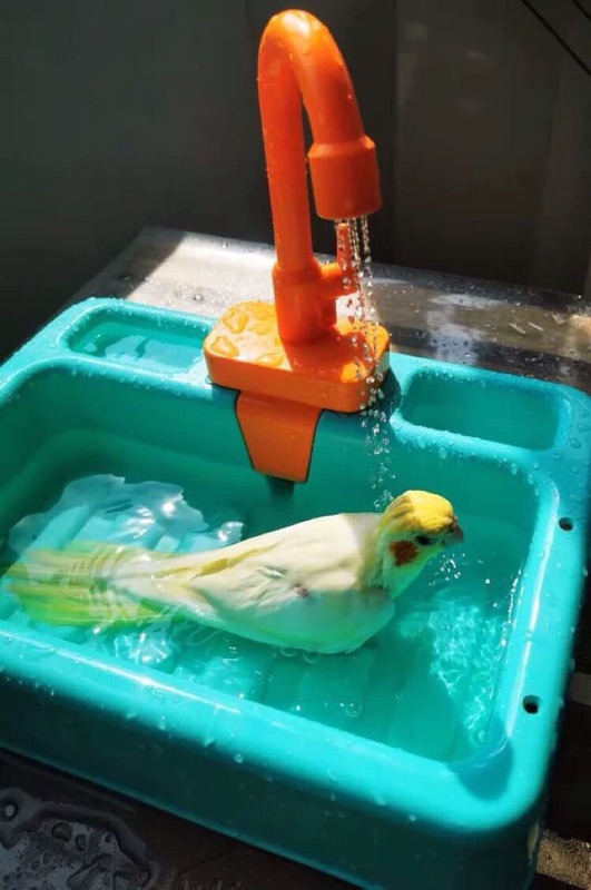 香濃❤贈電池 鸚鵡洗澡盆自動迴圈水洗澡盒沐浴玩具牡丹玄鳳太陽和尚凱克中小型