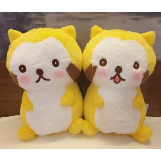 三麗鷗 狸貓 小浣熊 站姿 全兩種 Furyu 正版 景品玩偶娃娃