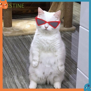 😺現貨秒發🐶寵物超酷炫眼鏡 寵物眼鏡裝飾 貓狗眼鏡 寵物拍照配飾 寵物配飾 寵物個性飾品