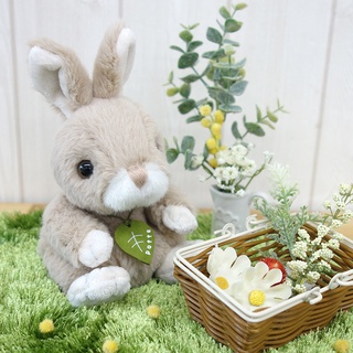 現貨🌸日本 Potte 立耳兔 兔子 兔兔 手玉娃娃 拍照 療癒 交換禮物 公仔 玩偶