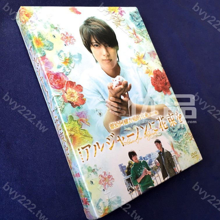 特價日劇 Flowers For Algernon 山下智久6碟dvd盒裝 蝦皮購物