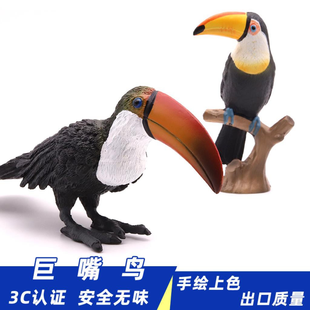 實心仿真巨嘴鳥模型大嘴鳥玩具鵎鵼野生動物犀鳥場景鳥類擺件 蝦皮購物