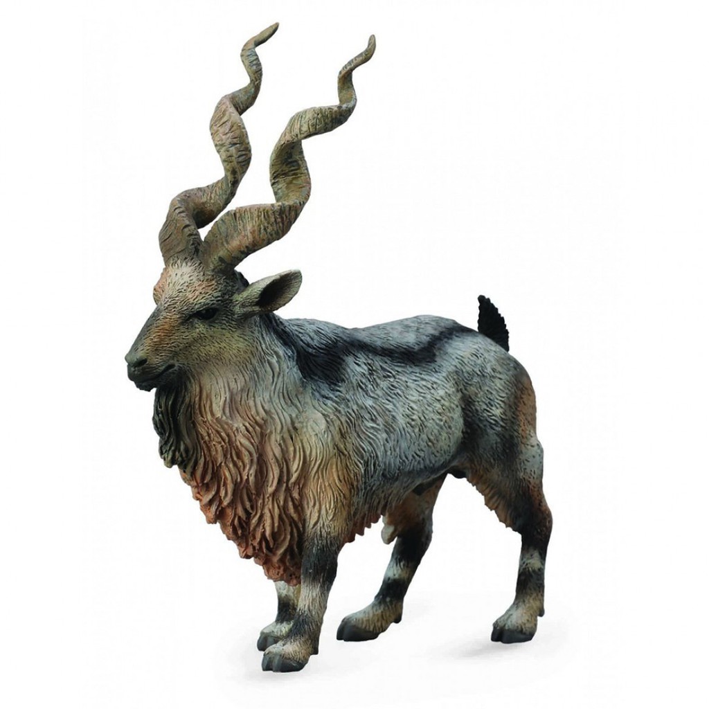 Collecta 動物模型 捻角山羊 Joybus 蝦皮購物