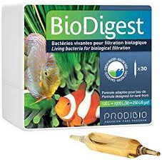 【魚宅】科迪Bio Digest &lt;50億活性硝化菌/消化菌/&gt; 開缸 魚缸 淡/海水