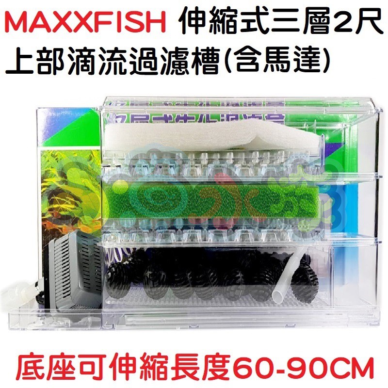 【小魚水族】【MAXXFISH、伸縮式上部滴流過濾槽、2尺三層】含馬達、上部過濾、多層過濾、底座可伸縮60-90CM