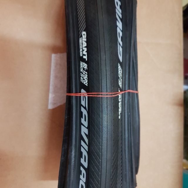 gavia ac 1