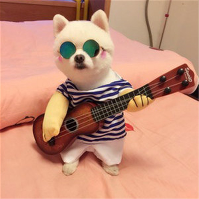 tiktok寵物變身裝狗吉他手變身裝搞怪猫彈吉他站立直立變身裝直立裝賣萌可愛猫狗