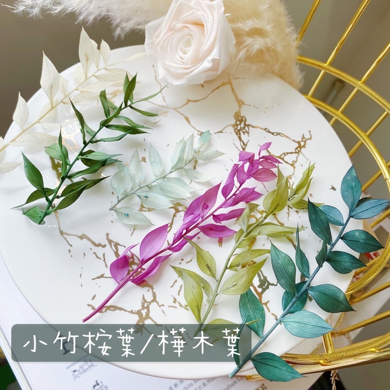 萬花 瞳乾燥花素材 小竹桉葉日本進口不彫富貴葉又稱樺木葉胸花 聖誕花圈 手作素材 攝影道具 新娘捧花 蝦皮購物