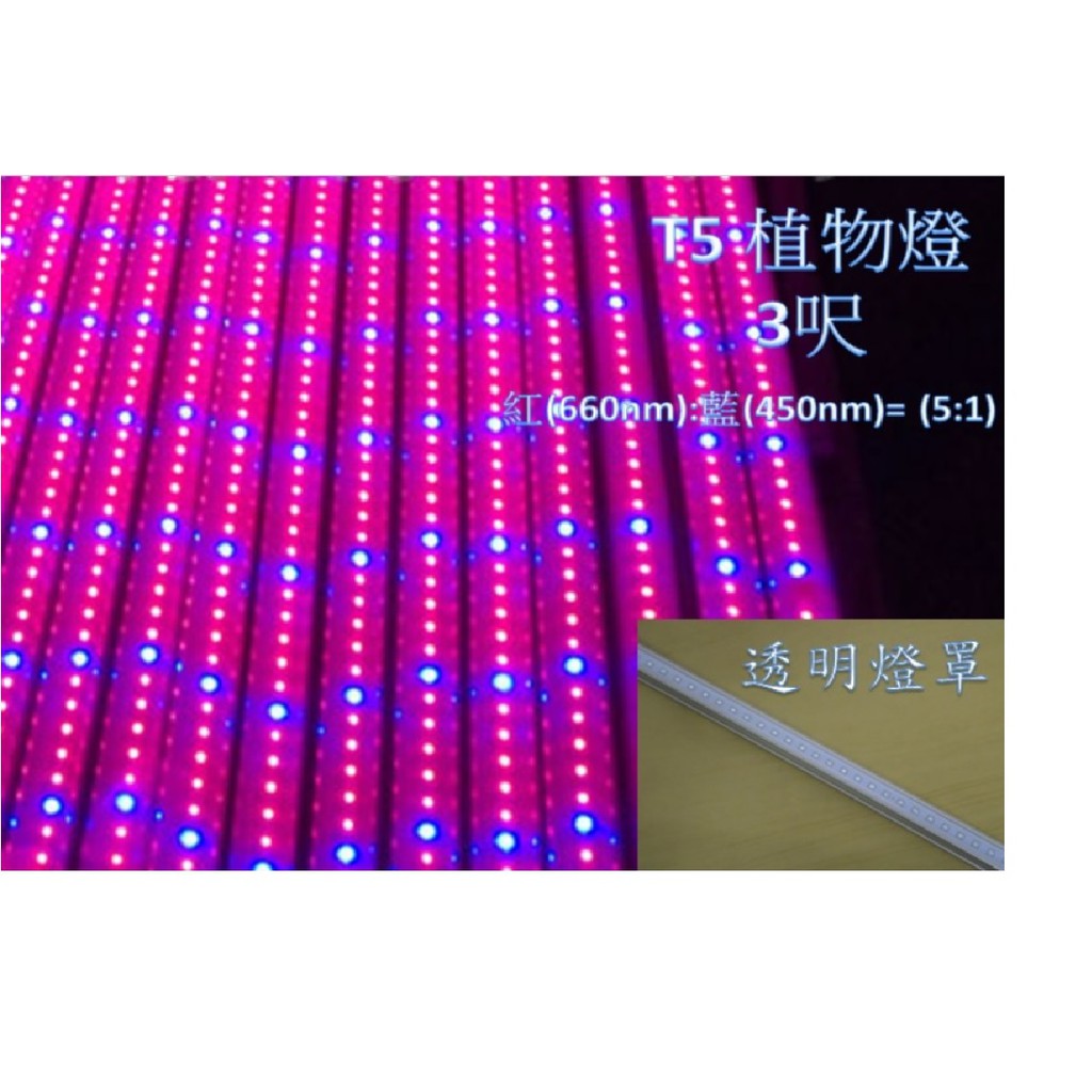 [陞麟照明]LED 植物燈 水族燈 LED日光燈管 T5 3呎 紅(660nm):藍(450nm)=5:1