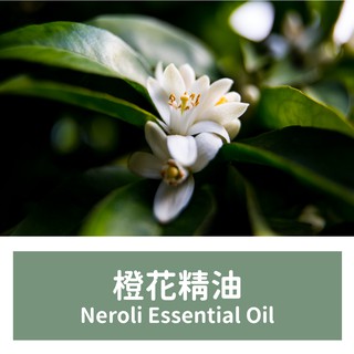 【馥靖精油】橙花精油 Neroli Essential Oil 100%純精油