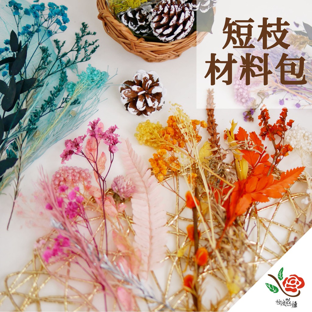 Diy 乾燥花短枝材料包新手包材料包優惠中 極度花燥 花束拍攝道具不凋花永生花葉材卡片花材手作 蝦皮購物